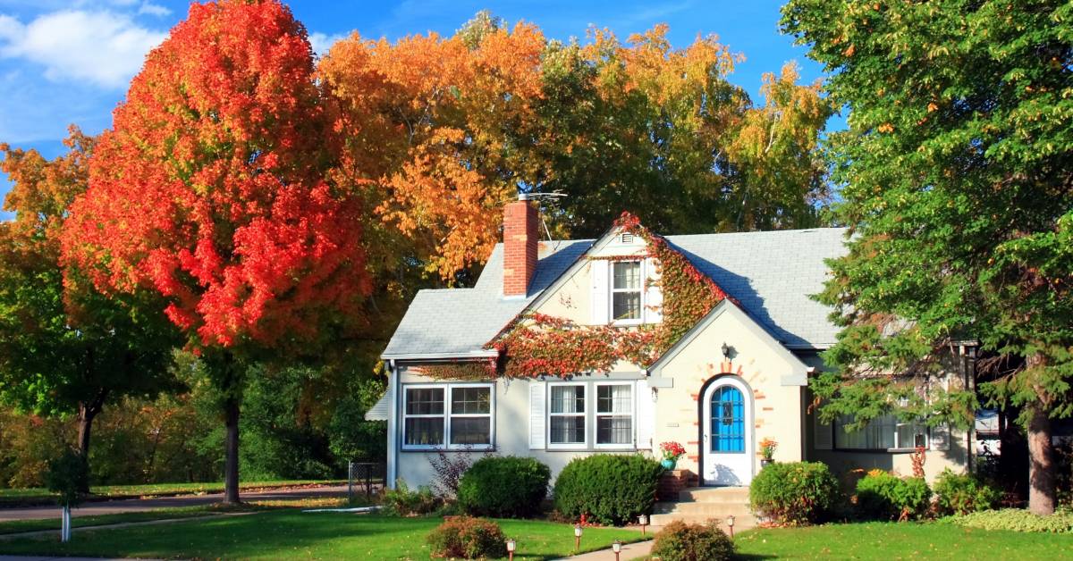 Prepare For Fall